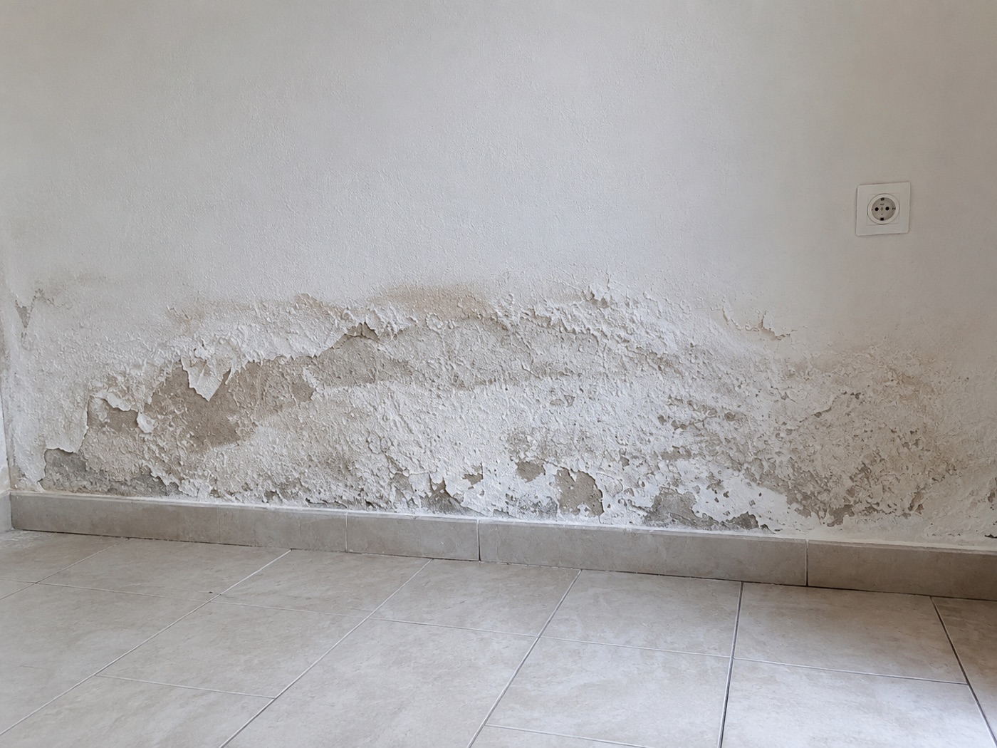 Mur dégradé par l’humidité avant traitement